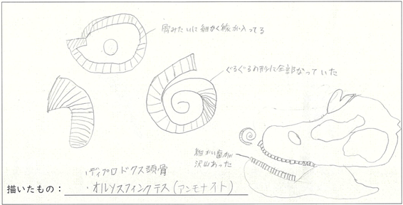 ほるる優秀スケッチ