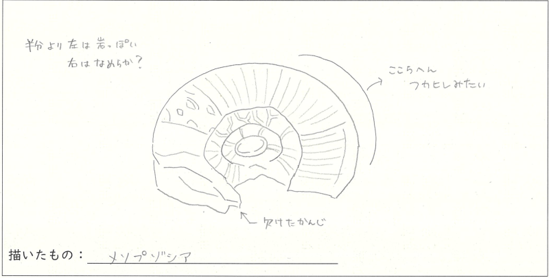 ほるる優秀スケッチその２
